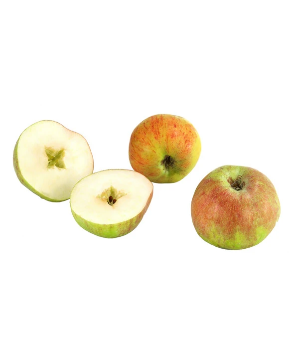 Herbstapfel 'Gravensteiner' 1 Herbstapfel 'Gravensteiner'