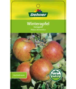 Winterapfel 'Jonagold' -Gardena Store 7691645 WinterapfelJonagold Etikett 1