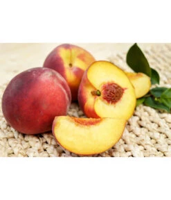 Gelbfleischiger Pfirsich -Gardena Store 7728843 PR FS 001 GelbfleischigerPfirsichPixabay