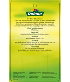 Kirschen-Duo 'Sunburst/Burlat' -Gardena Store 7760713 Suesskirschen DuoSunburstBurlat Etikett 2