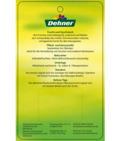 Dehner Pflaume 'The Czar' -Gardena Store 7762842 PflaumeTheCzar Etikett 2