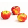 Herbstapfel 'Topaz'