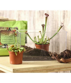 Karnivoren-Erde -Gardena Store 7976103 WE MO 001 KarnivorenErdeSubstratFuerFleischfressendePflanzen3LiterDehnerExpressHerzig