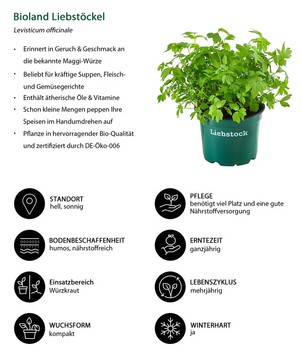 Bioland Liebstöckel 2 Bioland Liebstöckel – Bild 2