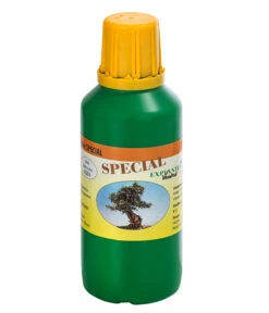 Bonsai Chinesischer Feigenbaum - Ficus Retusa, Anfänger-Set, 10 Jahre -Gardena Store 8561573 WE FS 003 DuengerSetBonsai