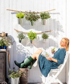 Bio Oregano 5 Bio Oregano -Gardena Store 8610123 WE MO 001 Oregano Kraeuter 1