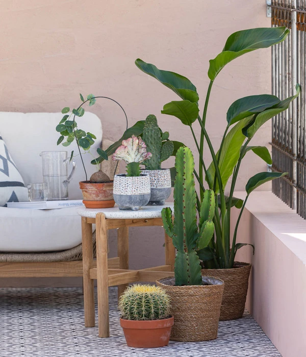 Dehner Seegras-Korb Igmar, Konisch 5 Dehner Seegras-Korb Igmar, Konisch – Bild 5