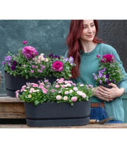 Elho Kunststoff-Topf Greenville, Ca. B20/B18/T49 Cm -Gardena Store 8809857 WE MO 001 FruehlingRosa