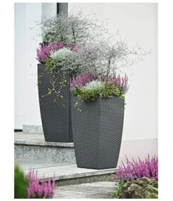 Knospenheide 'Hilda®' -Gardena Store 8810319 8815789 8811184 WE MO 017 Gruen Mood Herzig