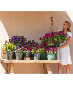 Hängepetunie 'Night Sky' -Gardena Store 8816506 WE MO 003 NightSky BestofPetunien