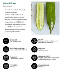 Bioland Gurke, Veredelt -Gardena Store 8830853 WE IG 001 BiolandGurke