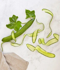 Bioland Gurke, Veredelt -Gardena Store 8830853 WE MO 001 SchlangengurkeveredeltRenner