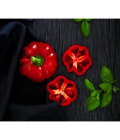Dehner Gourmet Garten Tomatenpaprika -Gardena Store 8831562 WE MO 001 TomatenpaprikaRenner