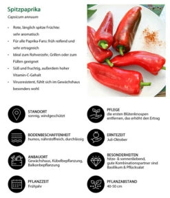 Spitzpaprika, Rot -Gardena Store 8833501 WE IG 001 Spitzpaprika