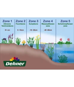 Hainampfer - Teichampfer -Gardena Store WE DE 001 Teichzonen Wasserpflanzen Schild