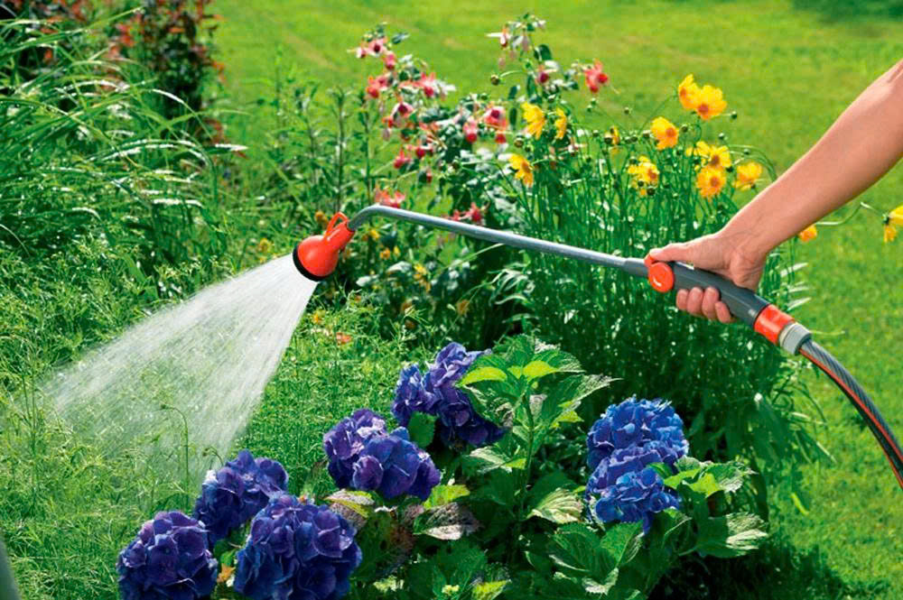 Gardena Store -Gardena Store z6856467976095 d9df863afda270d9a2a75074673a03f5